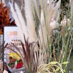 秋の実ものや枝ものが可愛い。