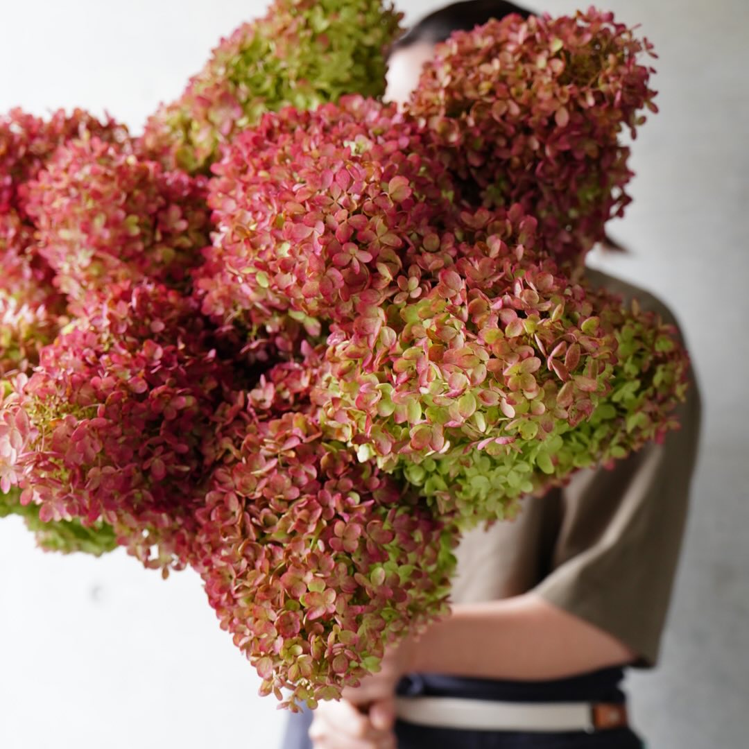 群馬県片品村から秋色の『ミナズキ』がやってきました