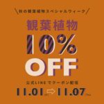 【予告】秋の観葉植物スペシャルウィーク