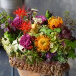 絶妙に鳥。キウイバードシルエットのカボチャ…！