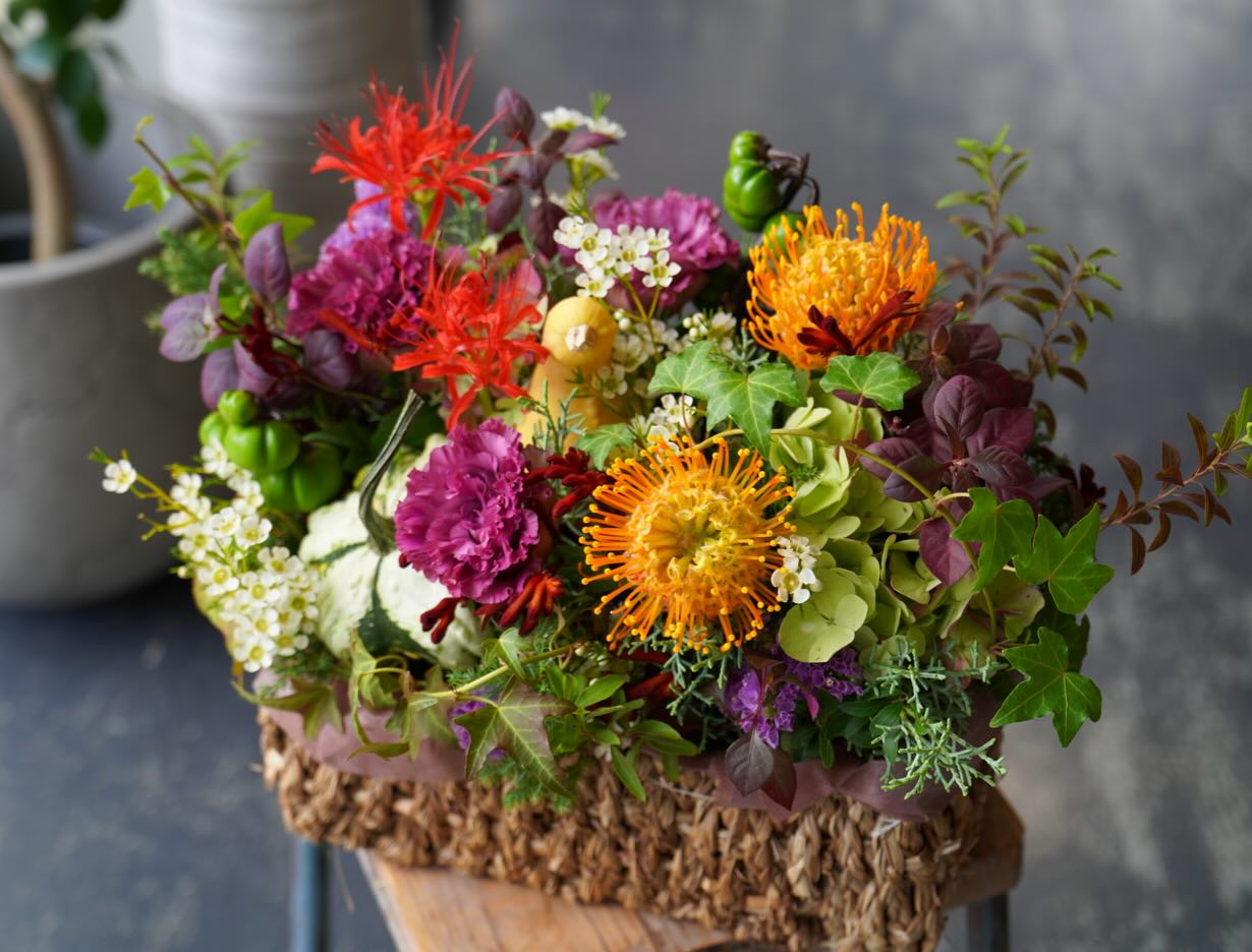 絶妙に鳥。キウイバードシルエットのカボチャ…！