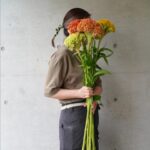 ケイトウが美しい季節。