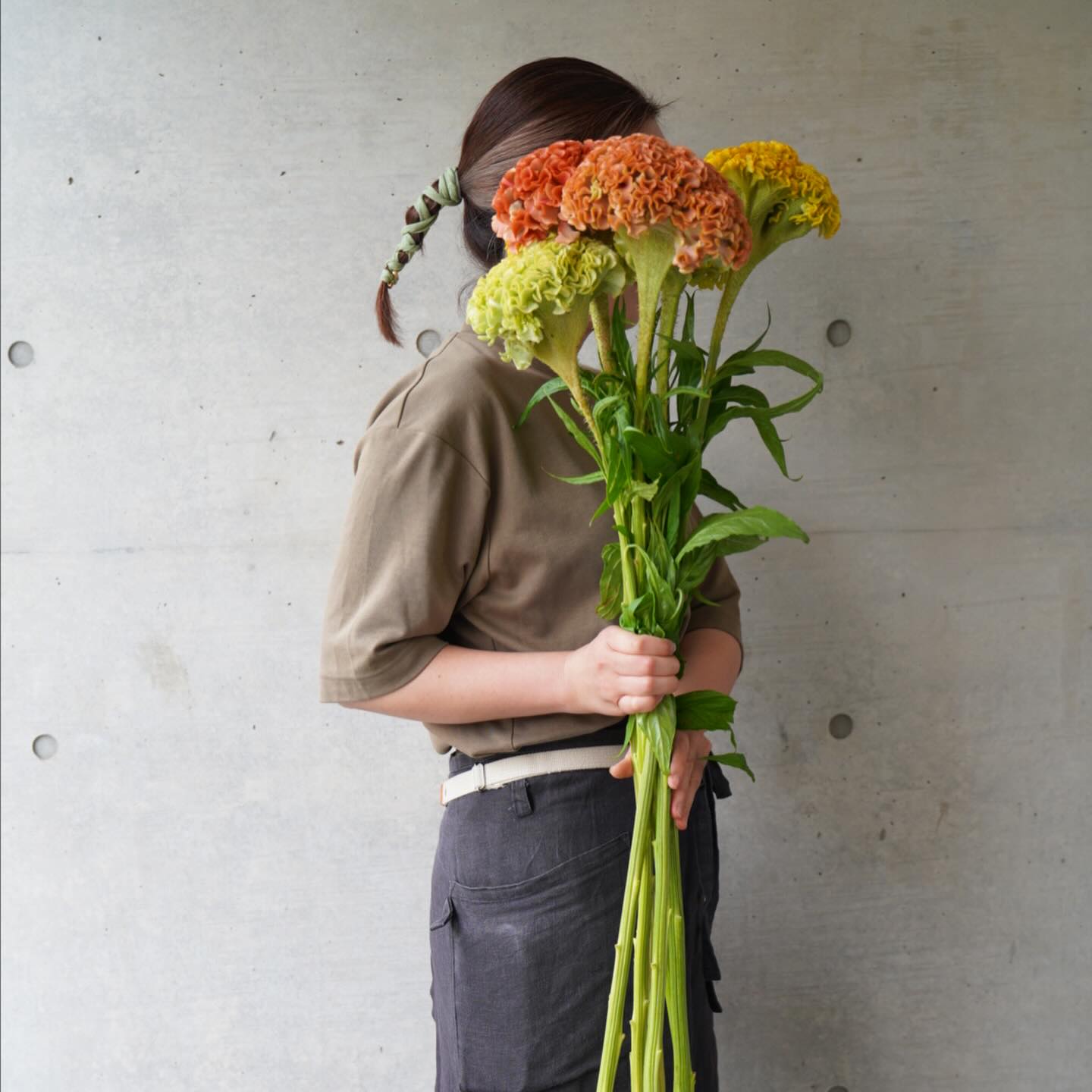 ケイトウが美しい季節。