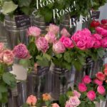 一面のバラ、圧巻です…！