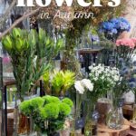 オータムカラーの草花が並びました！