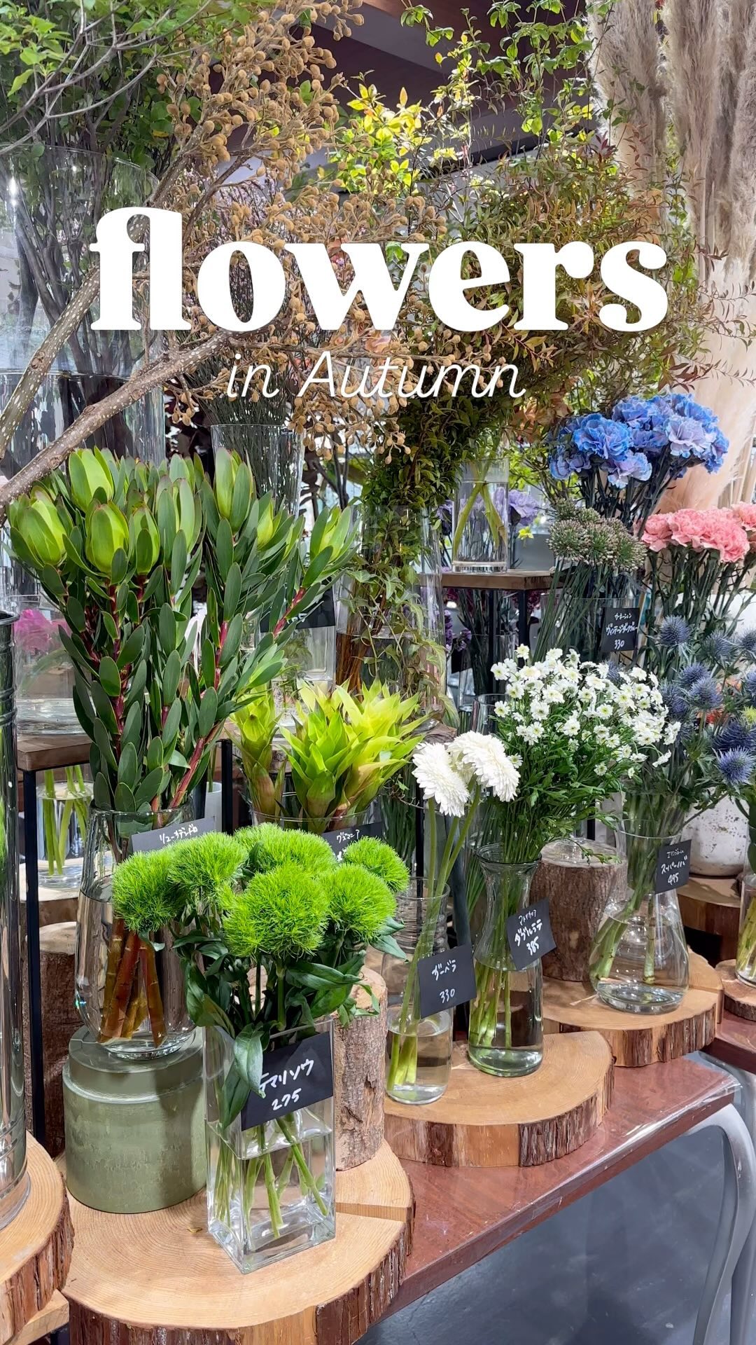 オータムカラーの草花が並びました！