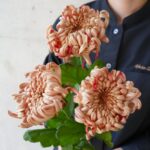 おしゃれなマム、オシャマム達が入荷です。