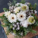 冬のホワイト️