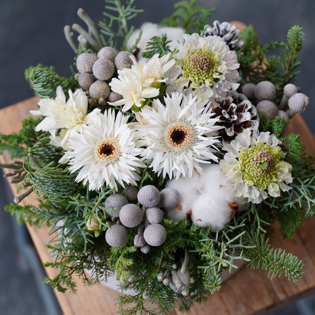 冬のホワイト️