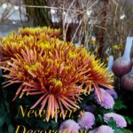 新年を迎えるお花たちが続々と入ってきました