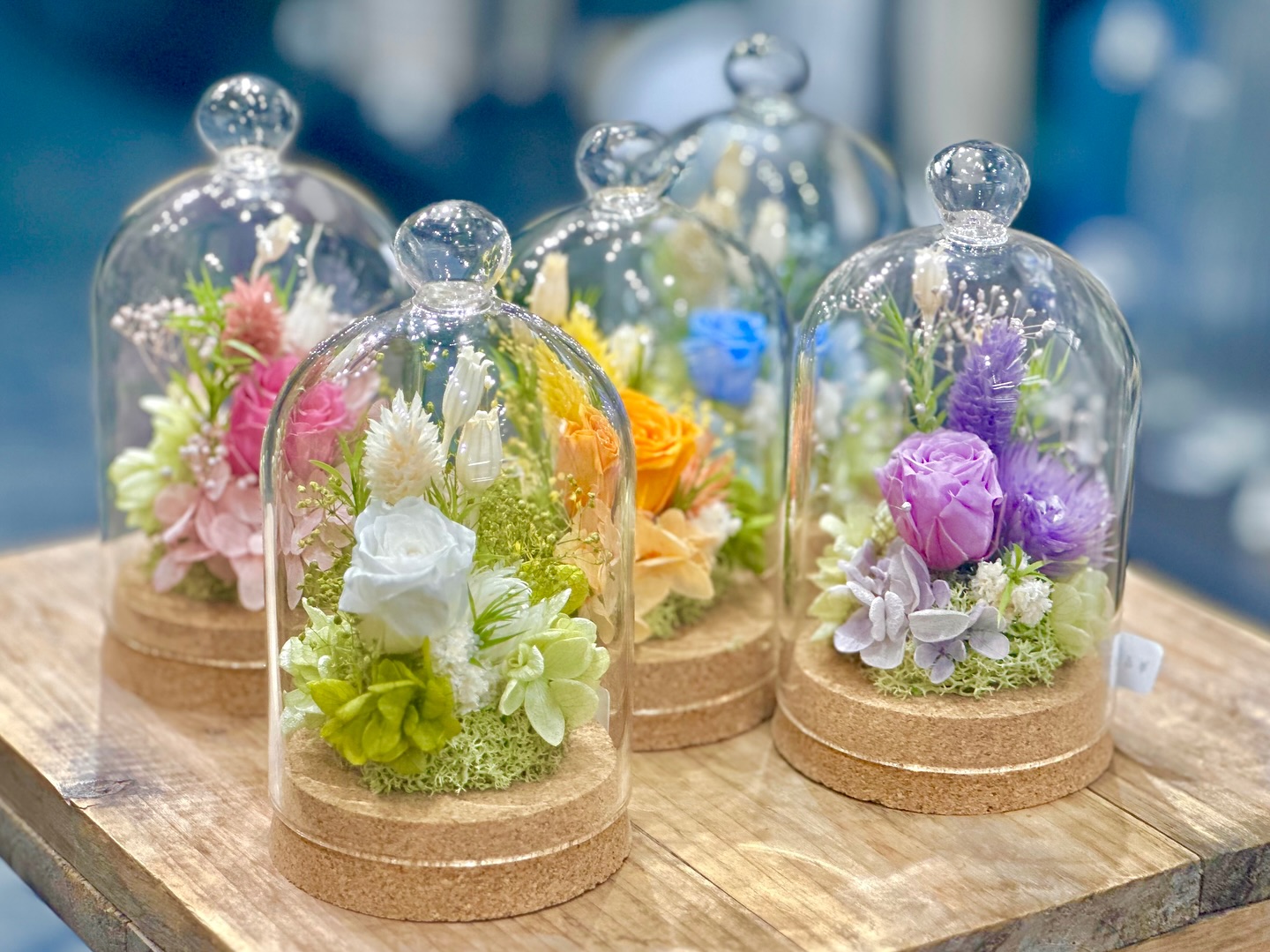 春季プリザーブドフラワー入荷しました