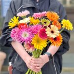 ただいまガーベラフェア開催中