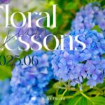 6月レッスンスケジュールのご案内