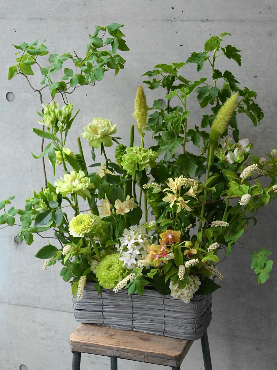 初夏の訪れを感じる…爽やかなグリーンアレンジメント