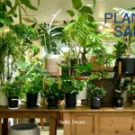 『観葉植物SALE10%OFF』開催中です