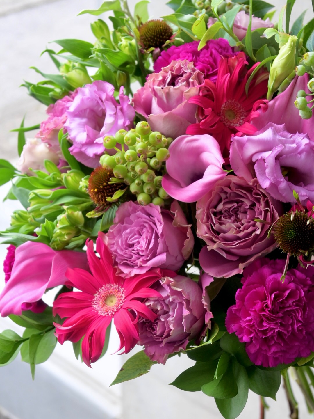 昨日ご紹介しました、