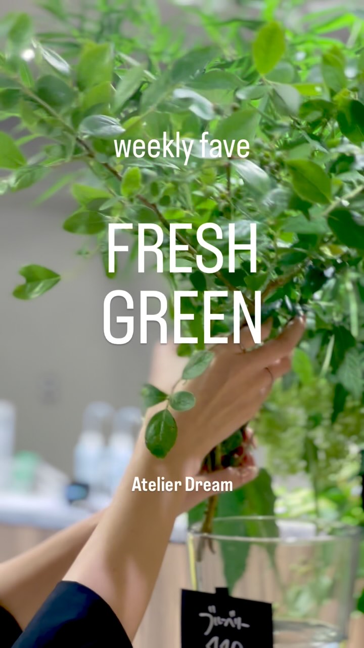 あとりえスタッフがお勧めする