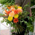 ストレリチアを入れた