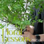 7月レッスンスケジュールのご案内