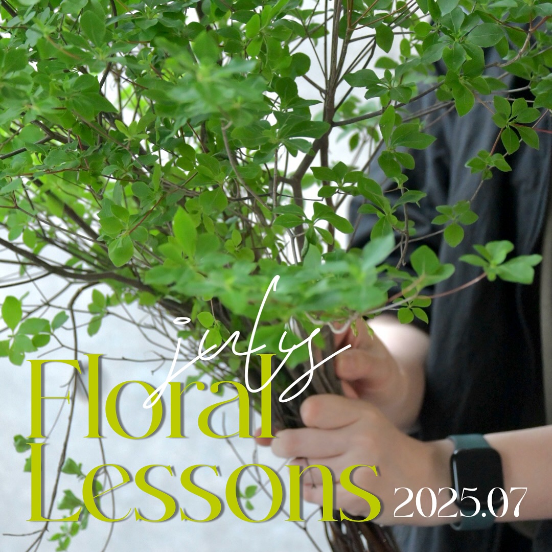 7月レッスンスケジュールのご案内