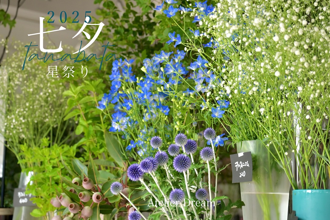 七夕-星祭り-2025