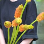 夏にぴったりのオレンジカラー