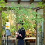 枝ぶり良しで美枝なドウダンツツジ。