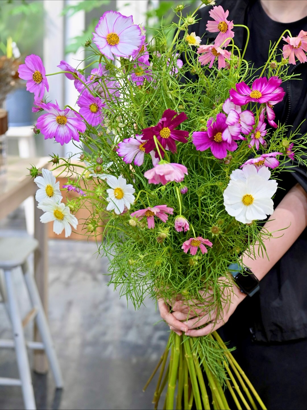 コスモス入荷しました