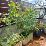 バルコニーの外構植栽をデザイン・施工させて頂きました。