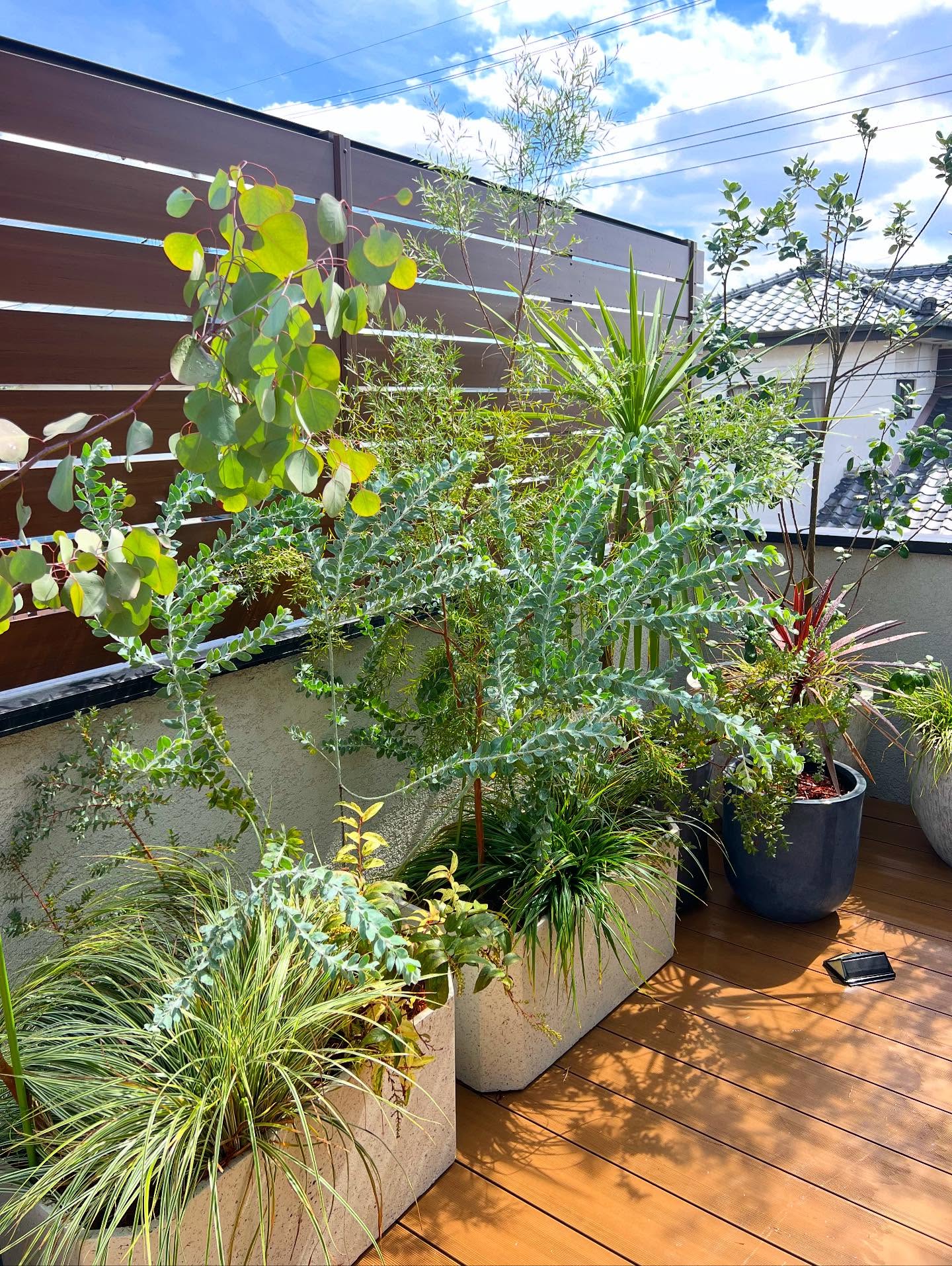 バルコニーの外構植栽をデザイン・施工させて頂きました。