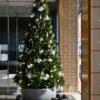 エントランスに飾るクリスマスツリー🌲