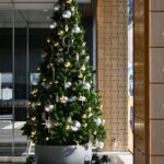 エントランスに飾るクリスマスツリー🌲