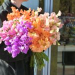 スイートピーフェア始まりました