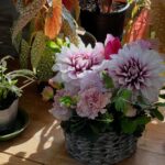 本日もあとりえドリームのレッスンにご参加いただき、