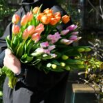 またまたチューリップの入荷です