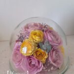 商品名【メモリー】