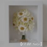 商品名【キューブSsize】