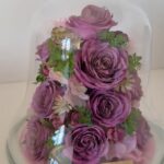 商品名【ウェンディM