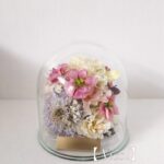 商品名【ニコル】