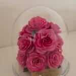 商品名【ニコル】