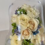 商品名【ウェンディM】