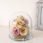 商品名【ニコル】　