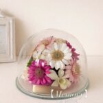 商品名【メモリー】