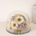 商品名【メモリー】