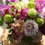 春色をぎゅっと。