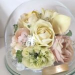 商品名【メモリー】