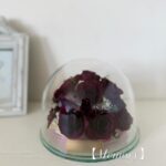 商品名【メモリー】