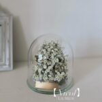 商品名【ニコル】