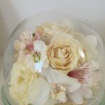 商品名【メモリー】
