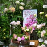 PEONY